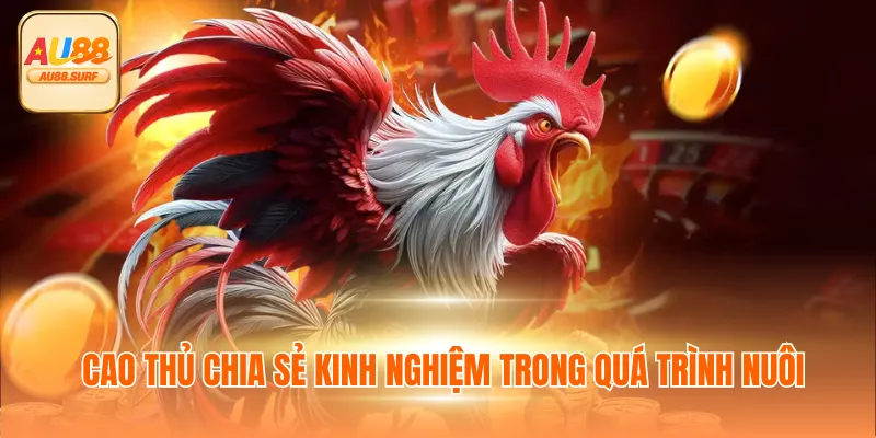 Đá Gà Tre Thú Vị Thế Nào? Tổng Hợp Thông Tin Cùng AU88 4 Cao thủ chia sẻ kinh nghiệm trong quá trình nuôi