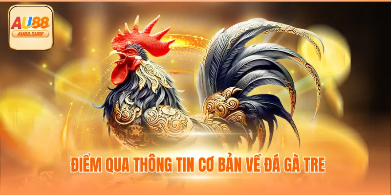 Đá Gà Tre Thú Vị Thế Nào? Tổng Hợp Thông Tin Cùng AU88 2 Đá Gà Tre Thú Vị Thế Nào? Tổng Hợp Thông Tin Cùng AU88