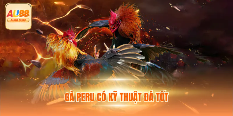 Đá Gà Cựa Dao - Xem Trực Tiếp Chọi Gà Bên Cam Tại Au88 4 Gà Peru có kỹ thuật đá tốt