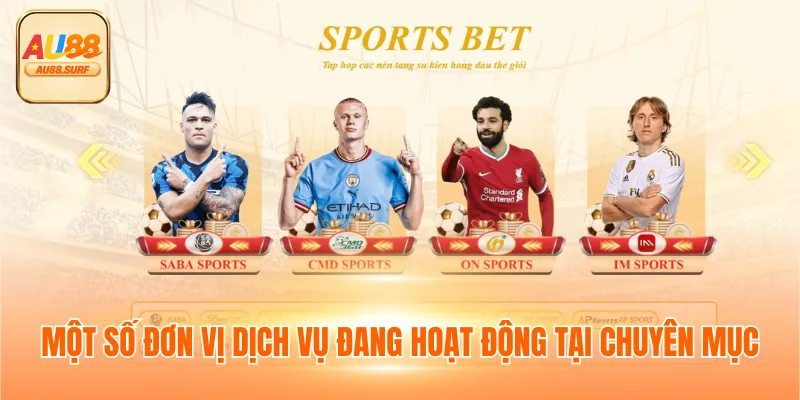 Thể Thao AU88 - Thiên Đường Giải Trí Ăn Tiền Mặt Xanh Chín 3 Một số đơn vị dịch vụ đang hoạt động tại chuyên mục