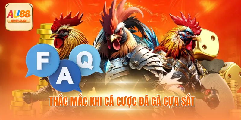 Đá Gà Cựa Sắt - Xem Trực Tiếp C1 Thomo Tại Au88 Mỗi Ngày 4 Thắc mắc khi cá cược đá gà cựa sắt