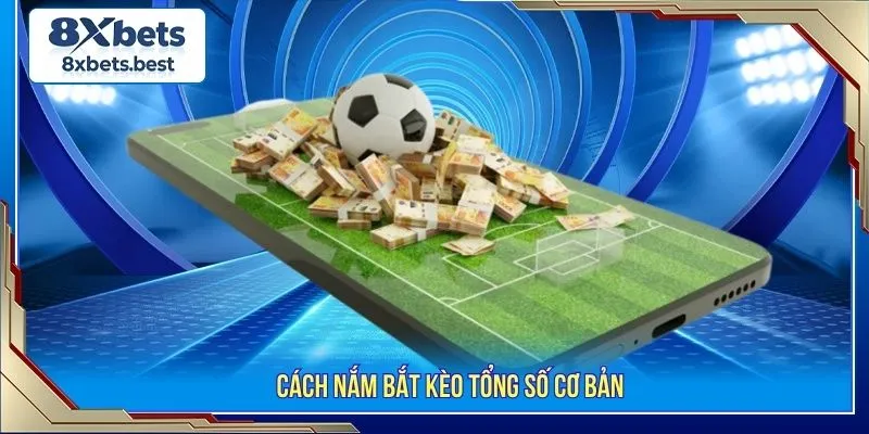 Danh Sách Kèo Penalty Hot Cùng Các Thủ Thuật Thông Minh 3 Cách nắm bắt kèo tổng số cơ bản