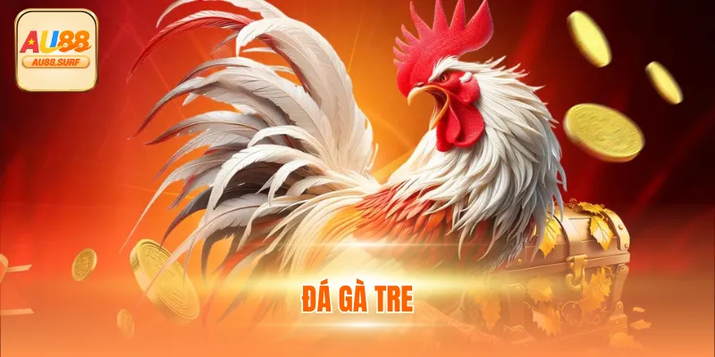 Đá Gà Tre Thú Vị Thế Nào? Tổng Hợp Thông Tin Cùng AU88 1 Đá Gà Tre Thú Vị Thế Nào? Tổng Hợp Thông Tin Cùng AU88