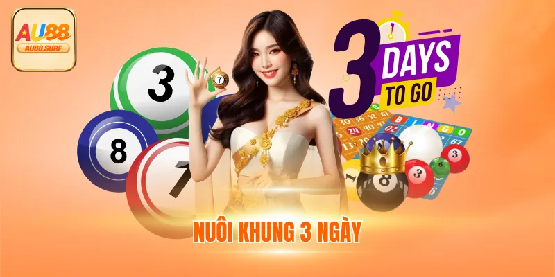 Nuôi Khung 3 Ngày Thế Nào Để Không Lỗ? 5 Cách Chọn Số Chuẩn 1 Nuôi Khung 3 Ngày Thế Nào Để Không Lỗ? 5 Cách Chọn Số Chuẩn